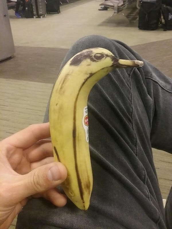 13. Птица-банан? Интересно!