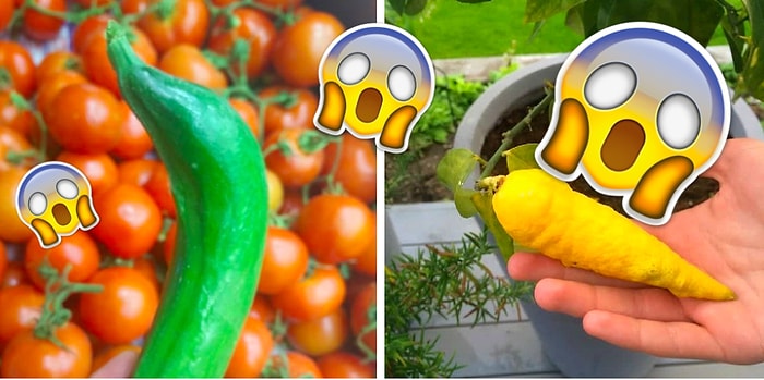 Фото странных овощей и фруктов, которые явно переживают раздвоение личности