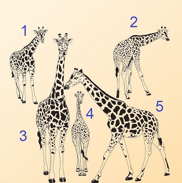 Вы откровенно любопытны!