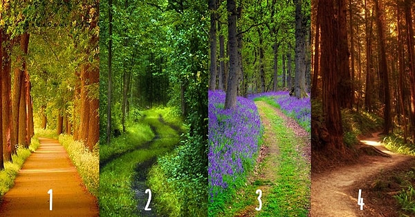 Выберите тропу: