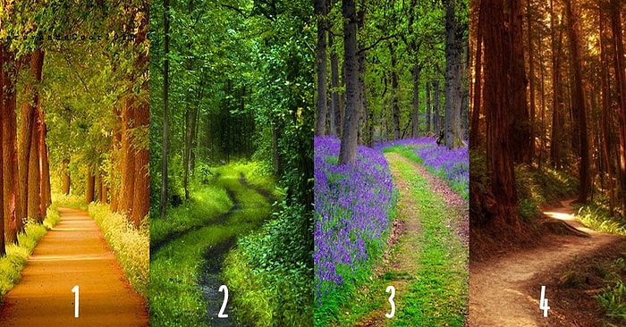 Тест: Какой дорогой вы идёте по жизни?