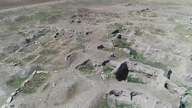 "Tarihin ilk insan sınıflandırılması"
