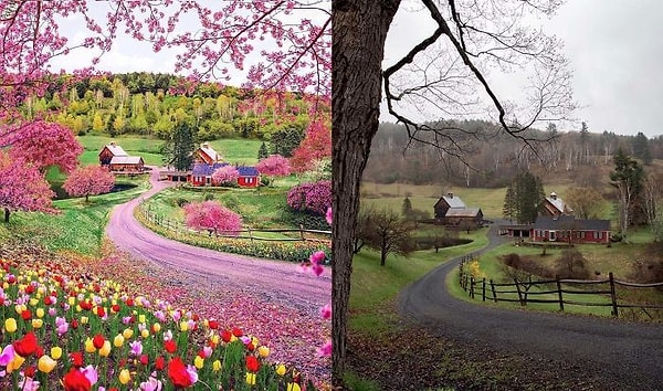 10. Как видите, не только лица и тела подвергаются "тюнингу" в Инстаграме