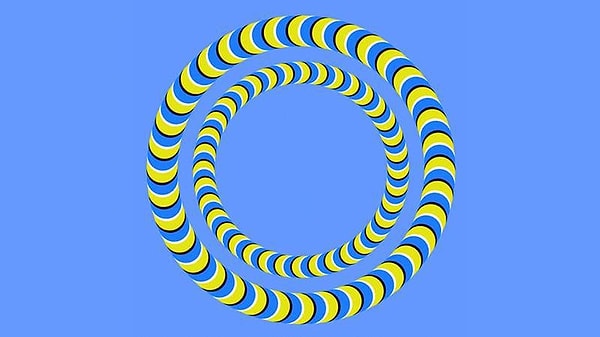 2. Сконцентрируйтесь одновременно на внутреннем и внешнем круге. Что вы видите?