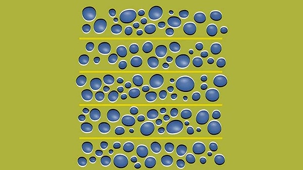 4. Пузырьки движутся в определенном направлении?