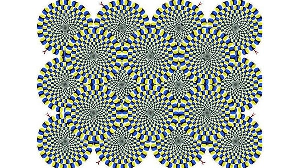 6. Видите ли вы змей в этой оптической иллюзии?