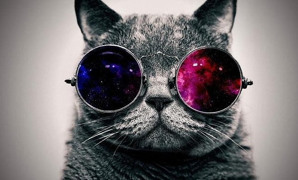 Ваш секрет успеха в креативности