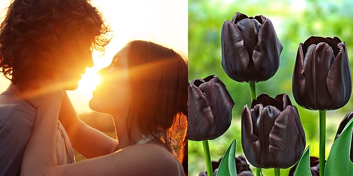 Тест: Выберите цветы, а мы расскажем, в каком году вы встретите свою настоящую любовь