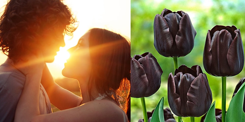 Тест: Выберите цветы, а мы расскажем, в каком году вы встретите свою настоящую любовь