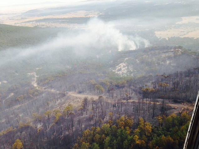 Yangın, karadan ve havadan müdahale sonucu bugün saat 08.00 sıralarında kontrol altına alındı. Sabahın saatlerinde helikopterlerle soğutma çalışması başlatıldı.