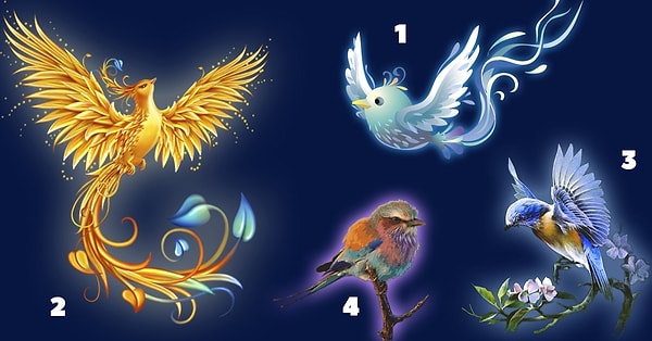 Выберите волшебную птицу, которая ждет, что именно на нее вы обратите внимание.