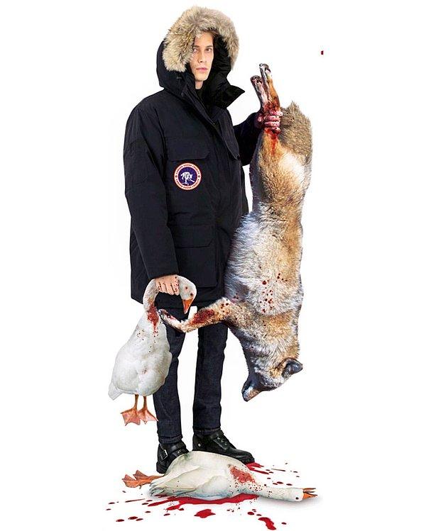 Canada Goose markasının amblemi soğuk iklimlerin yaşandığı her yerde görülür, insanlara sıcaklıktan başka bir şey ifade etmez.Şirketin kışlık ceketlerinin kapüşon kısmındaki kürk süsler; tuzaklarla yakalanan, öldürülen ve kürkü yüzülen çakallardan oluşuyor.
