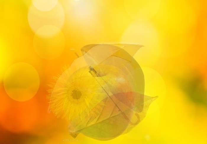 Тест-прогноз: Чем удивит вас это лето?