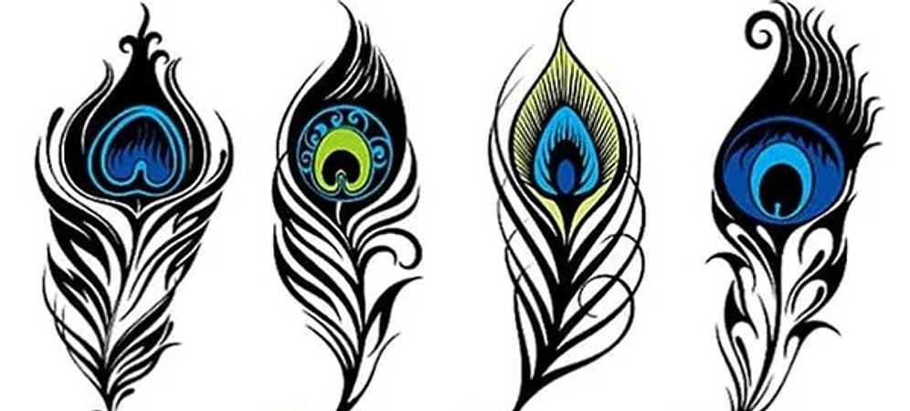 Понравившееся вам перо павлина покажет, на что вам нужно обратить внимание в жизни