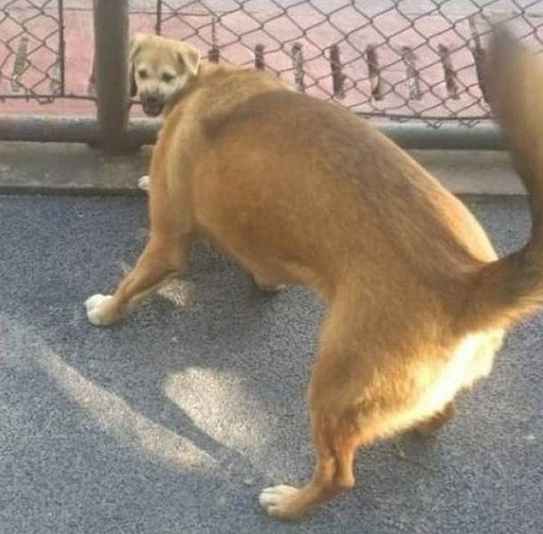 13. «Когда Caps включен, и ты нажимаешь Shift, чтобы написать заглавную букву»