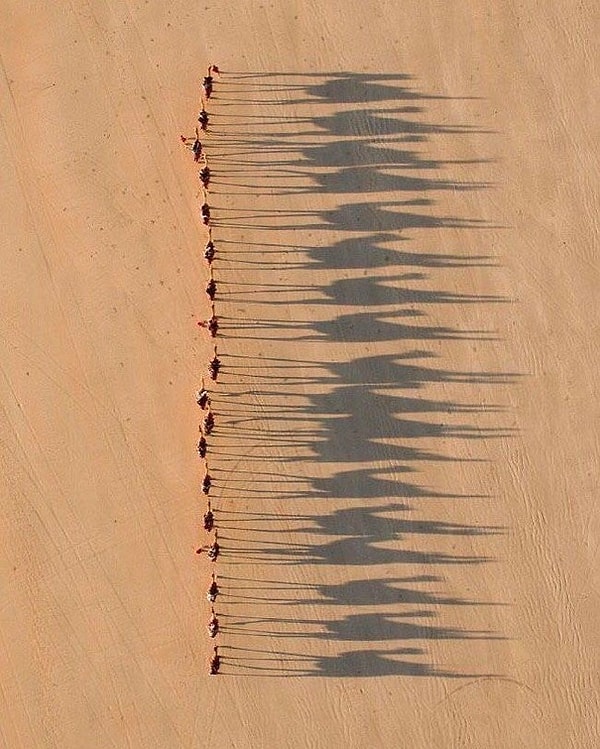 20. Собаки лают, караван идет...