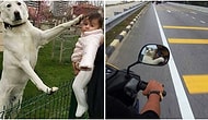 İnsanlarla Hayvanlar Arasında Nasıl da Güçlü Bir Bağ Olduğunu Kanıtlayıp Yüreğimizi Isıtacak 19 Kare