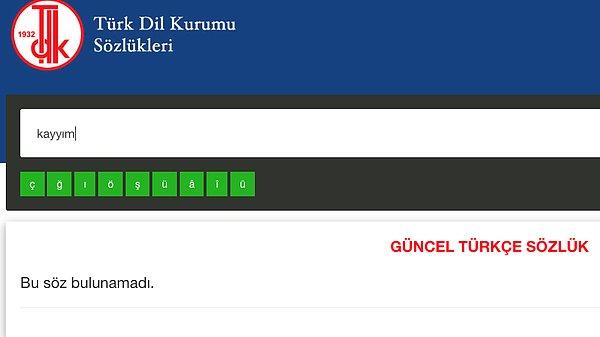 Türk Dil Kurumu'nun internet sitesindeki güncel sözlükte "kayyım" kelimesi bulunmuyor.