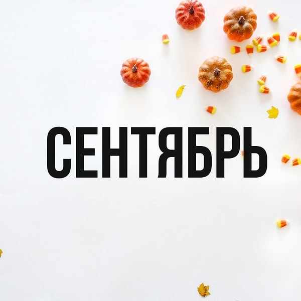 Избегайте прокрастинации!