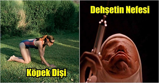 İzleyen Kişilerin Tamamında Bir Gram Bile Akıl Sağlığı Bırakmayan 21 Sayko Film