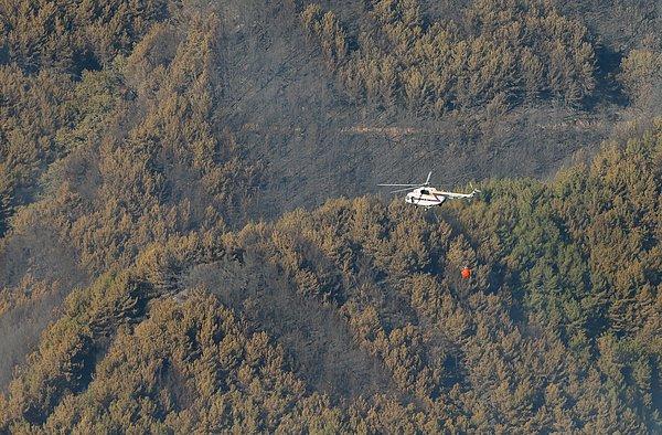 Yaklaşık 500 hektarlık alanda etkili olan yangını kontrol altına alabilmek için çalışan ekiplere havanın aydınlanmasıyla birlikte helikopterler de destek vermeye başladı.