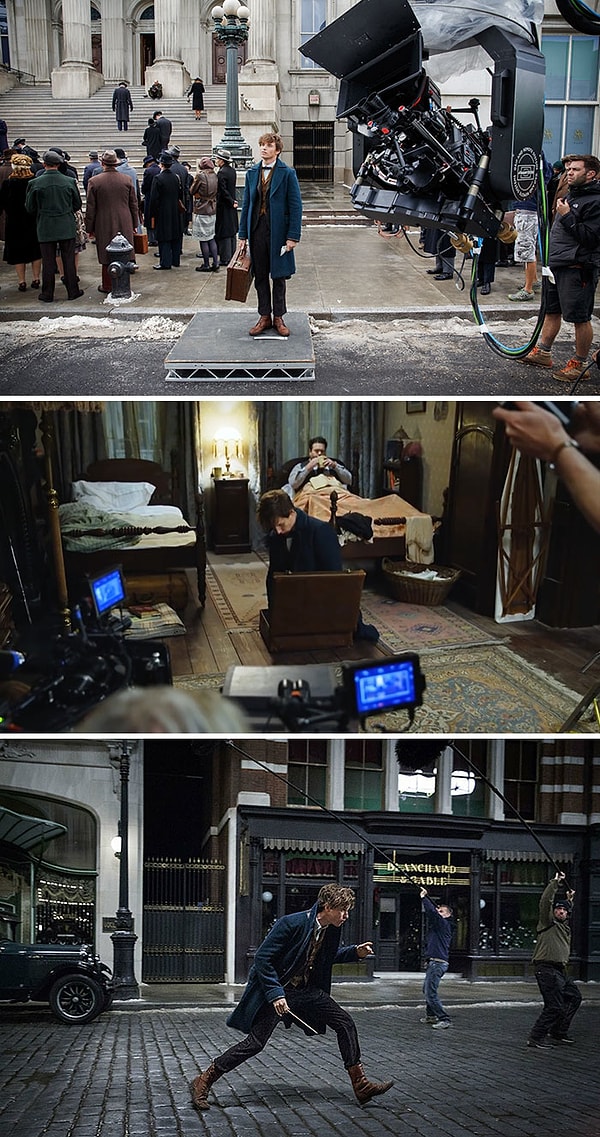 21. Фантастические твари и где они обитают (2016)