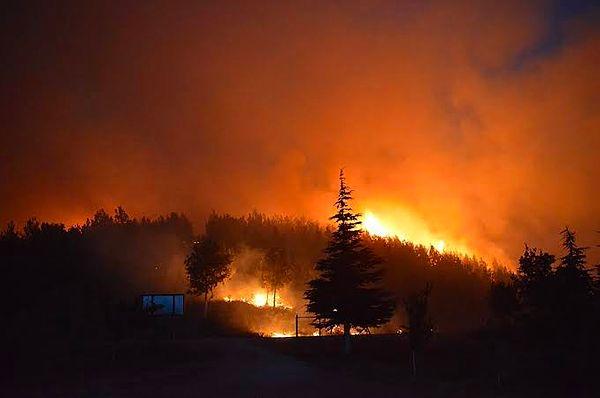 Üçüncü gününde kontrol altına alınmaya çalışılan yangında yaklaşık 500 hektarlık alan etkilendi.