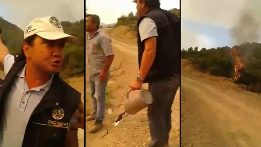 'İzmir'de Pürmüzle Orman Yakıyorlar' Videosuna Yalanlama: 'Karşı Ateş Metodunu Kullanıyor'