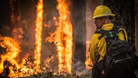 Dünyanın Akciğerleri Yanıyor: Amazon'da Yangınlar Rekor Seviyeye Ulaştı