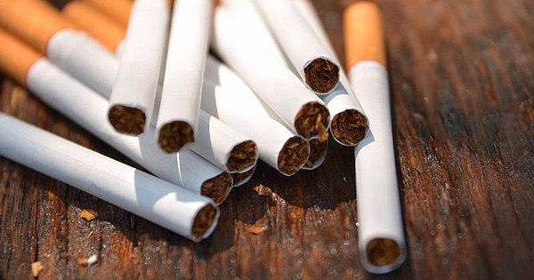 Sonuçta ülkeye yabancı sigaranın ve tütünün girmesine yasal izin verildi.