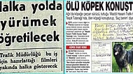 Her Maddesinde Ayrı Bir Gariplik Deryasına Sokacak Birbirinden Absürt 19 Gazete Kupürü
