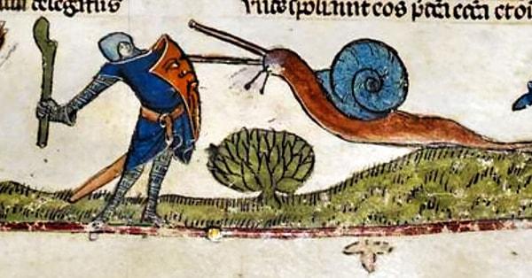 11. Orta Çağ metinlerinde şövalyelerle dövüşen dev salyangozlarla ilgili pek çok tasvir var. Neden böyle bir şey olduğunu ise hiç kimse bilmiyor.