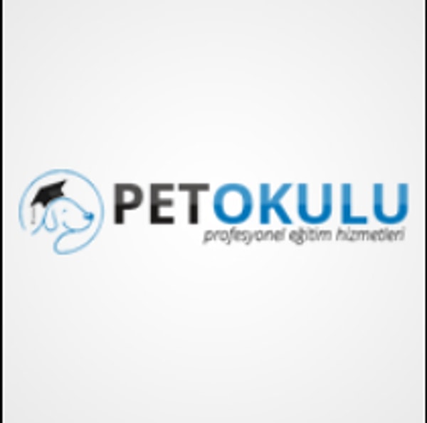 Pet Okulu Köpek Eğitimi ve Köp