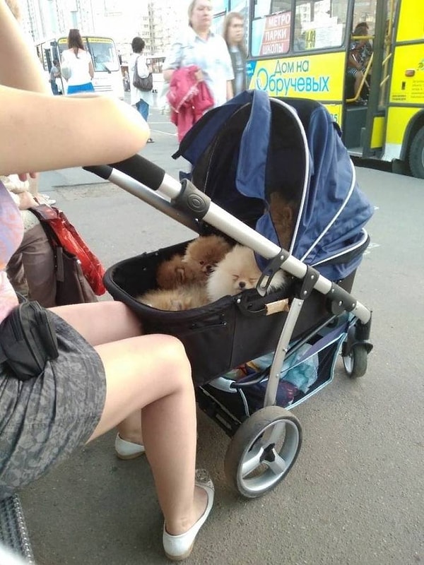 4. Счастливая мама трех