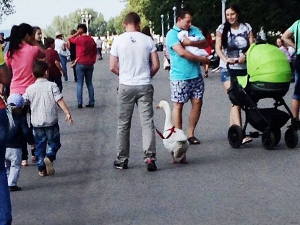 5. Счастливый отец