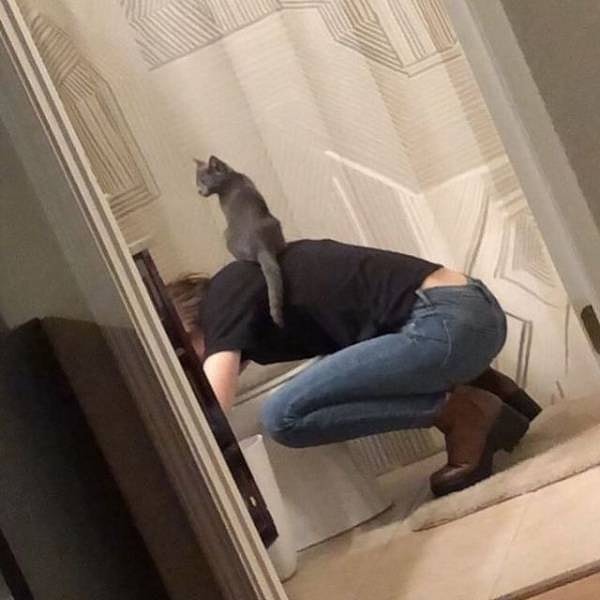 17. И кто тут чей питомец?