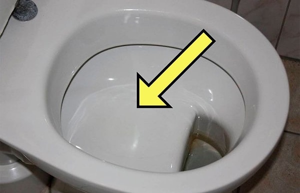 19. "Холодные сиденья унитазов некомфортны для тела, а теплые (после кого-то) - для души :)"