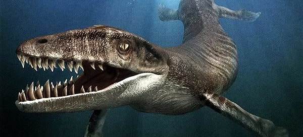 20. "А что, если причина, по которой НАСА не исследует океан, это то, что они уже знают, что там есть, и просто ищут пути спасения человечества, пока ЭТО не вышло на сушу?"