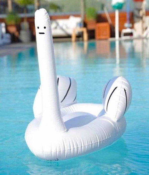 2. Мы считаем, что этот лебедь повидал много странностей в жизни.