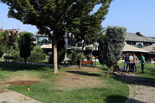 Cinayet, 15 Ağustos'ta, Efeler ilçesi Cumhuriyet Mahallesi’ndeki Nevzat Biçer Parkı’nda işlendi.