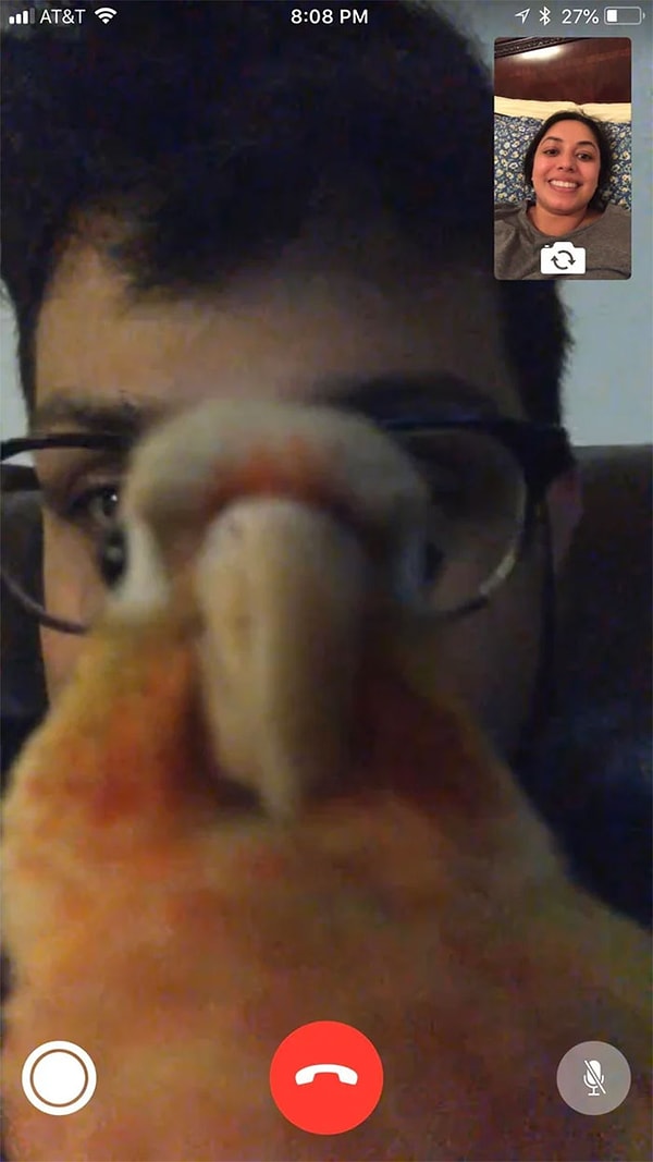 35. Никаких общений по Facetime без меня!