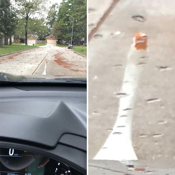 45. Гусь, который заблокировал дорогу