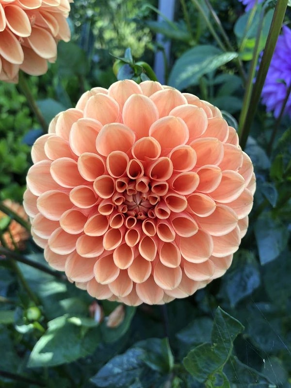 8. Красоты природы никогда не перестанут удивлять!