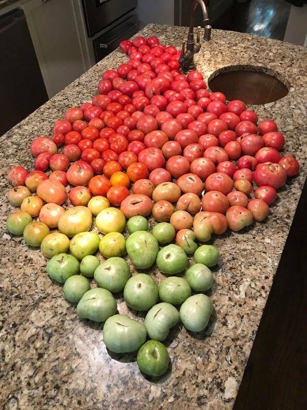 14. И не лень же кому-то такое сотворять:)