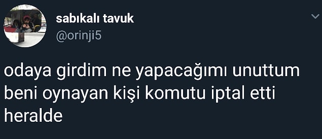 7. Sims hayatlar.