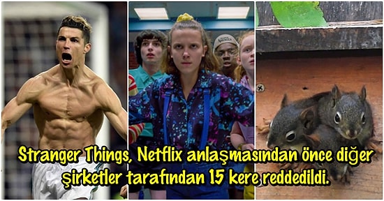 Bilmeyenlerin Bir Şey Kaybetmeyeceği Öğrenenlerin İse İçten İçe Tatmin Olacağı Birbirinden Alakasız 20 Bilgi