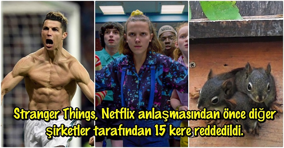 Bilmeyenlerin Bir Şey Kaybetmeyeceği Öğrenenlerin İse İçten İçe Tatmin Olacağı Birbirinden Alakasız 20 Bilgi