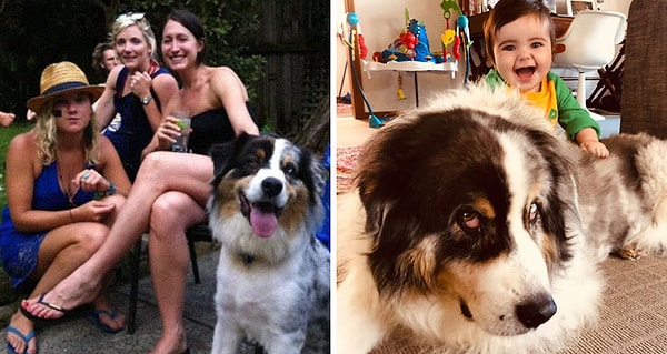 9. Теперь у нее есть заботы поважнее собаки