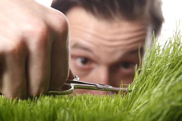 Вы перфекционист!