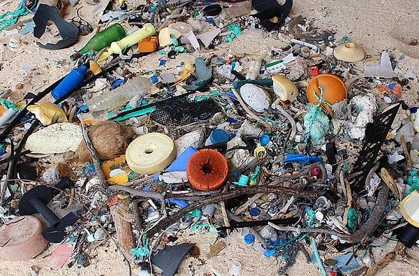"Hayatımızın en önemli küresel sorunlarından biri olan okyanus kirliliğinin durumu gün geçtikçe daha da kötüye gidiyor."